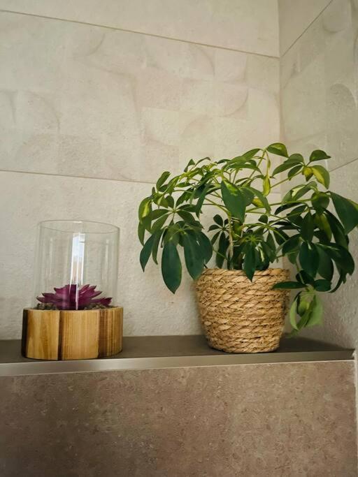 Sparrow Apartmens - Vrabcia Ulica 9, โกชิเซ ภายนอก รูปภาพ